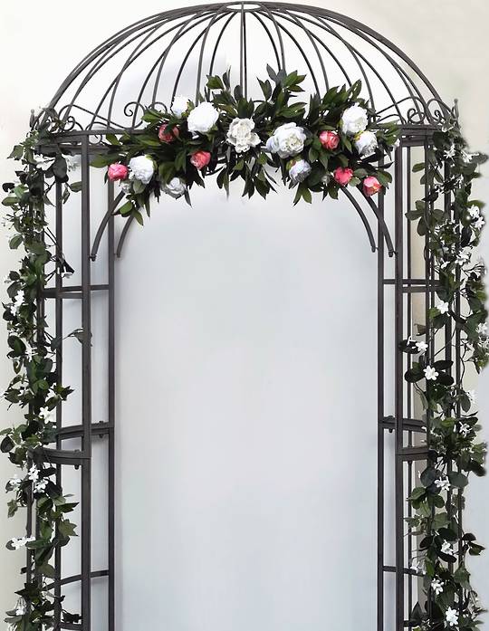 Wrought Iron Archway/ Birdcage